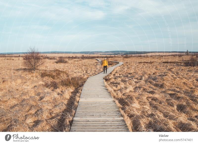 Wildes Ödland im Westen Belgiens, genannt Les Wez im Hohen Venn, Wallonien. Ein riesiges Wasserreservoir in ausgedehnten Feuchtgebieten. Klimawandel und Speicherung