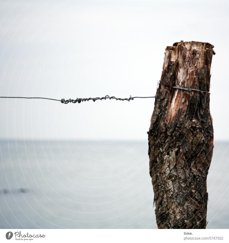 Geschichten vom Zaun .150 Wasser Himmel Horizont Ostsee Baumstamm Schönes Wetter Zaunpfahl Draht Drahtseil Drahtzaun Schilder & Markierungen Metall Holz Linie