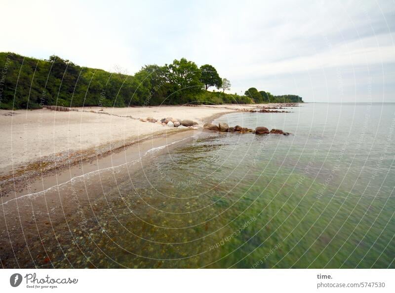 Ostseeküste mit Steinbuhnen Küste Strand Umwelt Natur Baum Buhne Wasser Meer Himmel Panorama Horizont reisen Urlaub unterwegs Erholung Tourismus Landschaft