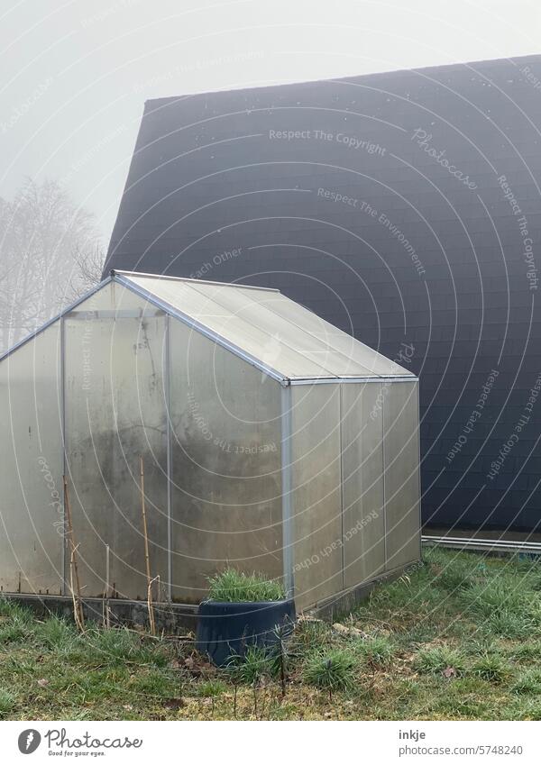 Gewächshaus im Nebel Farbfoto Außenaufnahme Garten Kleingartenverein Kleingartenkolonie Schrebergarten morgens diesig Frühjahr ruhe textfreiraum menschenleer