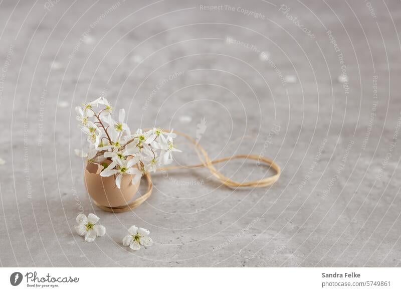 Eierschale als Vase - gefüllt mit Frühlings - Blüten Ostern Osterei Dekoration & Verzierung Farbfoto Osternest Nahaufnahme Feste & Feiern Innenaufnahme