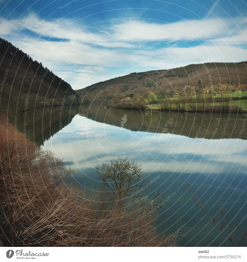 Nebenfluss Neckar Fluss Wasser Reflexion & Spiegelung Umwelt Landschaft Bäume Stimmung Menschenleer Natur Wald Hügel Himmel Wolken Baum Flussufer Außenaufnahme