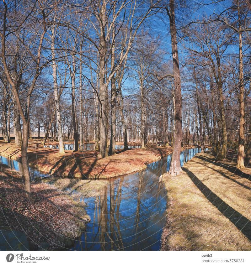 Urstromtal Wasserweg Wasserspiegelung fießend glänzend gemächlich Bach geheimnisvoll melancholisch draußen Wasseroberfläche Einsamkeit Wald friedlich Totale