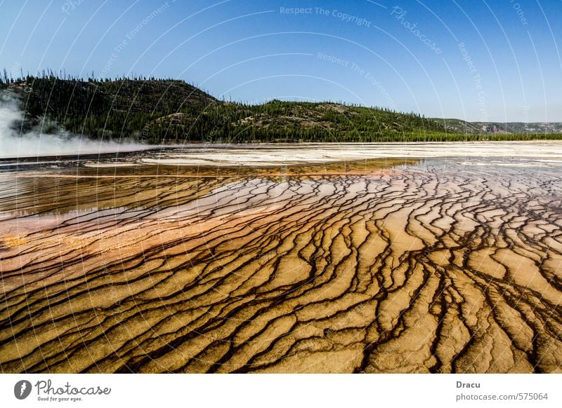 Midway Geyser Basin Ferien & Urlaub & Reisen Tourismus wandern Yellowstone Nationalpark Natur Landschaft Pflanze Sonnenlicht Wald Geysir Heisse Quellen Sand