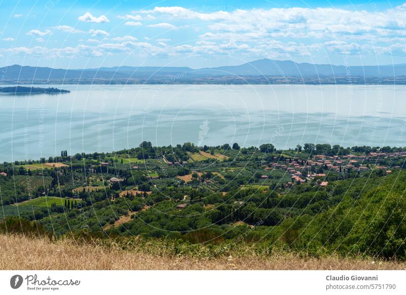 Der Trasimeno-See im Sommer in der Nähe von Passignano Europa Italien Juli Perugia Umbrien Farbe Land Tag Landschaft Natur oliv Fotografie Straße ländlich