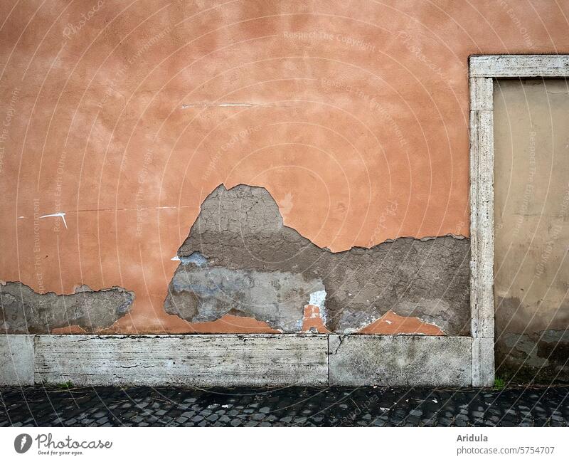 Beschädigter Putz einer Fassade mit Türrahmen und Kopfsteinpflaster Wand Haus Hauswand beschädigt Gebäude Außenaufnahme Architektur Stadt kaputt abbröckeln