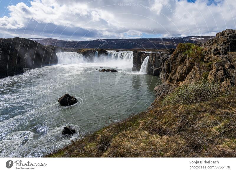 Godafoss in Island im Sommer Wasserfall isländisch Natur gewaltig Landschaft Felsen Außenaufnahme Fluss Kraft fließen Umwelt Farbfoto Tag natürlich wild