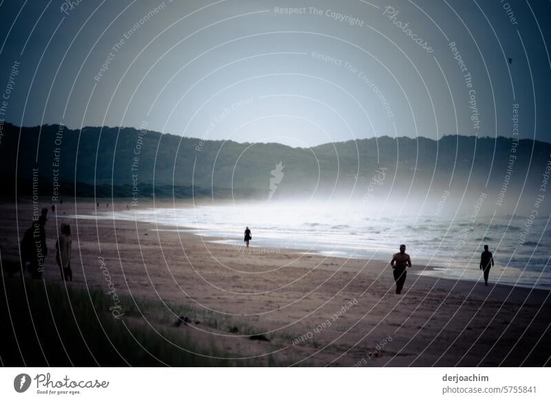 Frühmorgens am Strand von Lennox Head. Meeresufer Küste Wasser Meereslandschaft Küstenlinie im Freien Seeküste Ufer Landschaft malerisch Umwelt Uferlinie