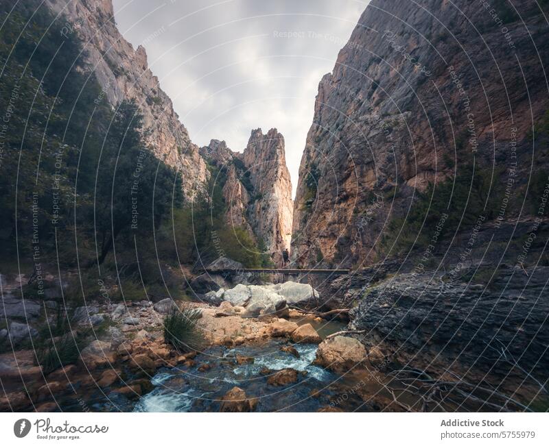 Majestätische Bergschlucht mit Wanderweg und Fluss Berge u. Gebirge Schlucht wandern Nachlauf Landschaft Gelassenheit turmhoch Klippen fließend Wasser Natur