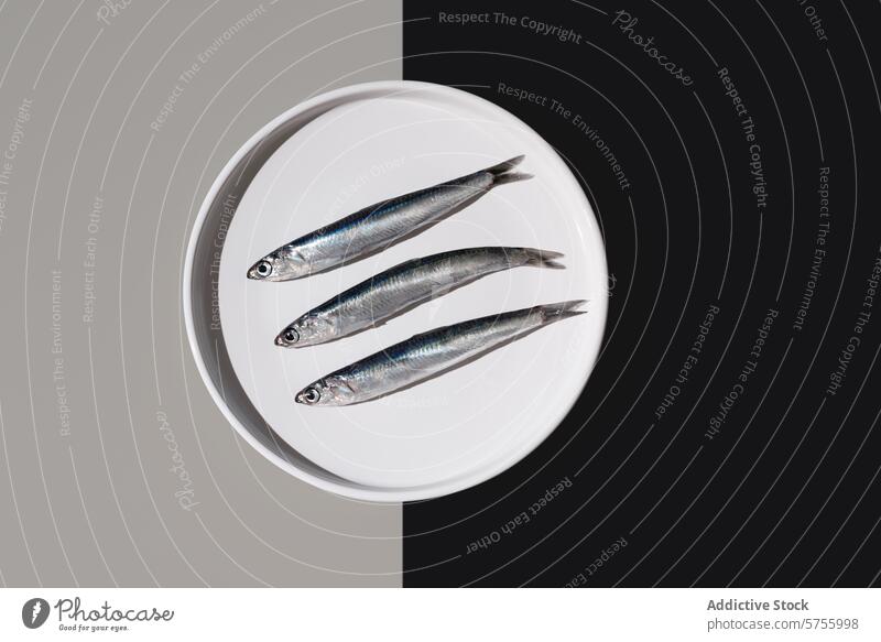 Von oben: drei silbrig-frische Sardellen auf einem weißen, runden Teller, kunstvoll geteilt durch einen Yin-Yang-Hintergrund aus Schwarz und Grau Anchovis Trio