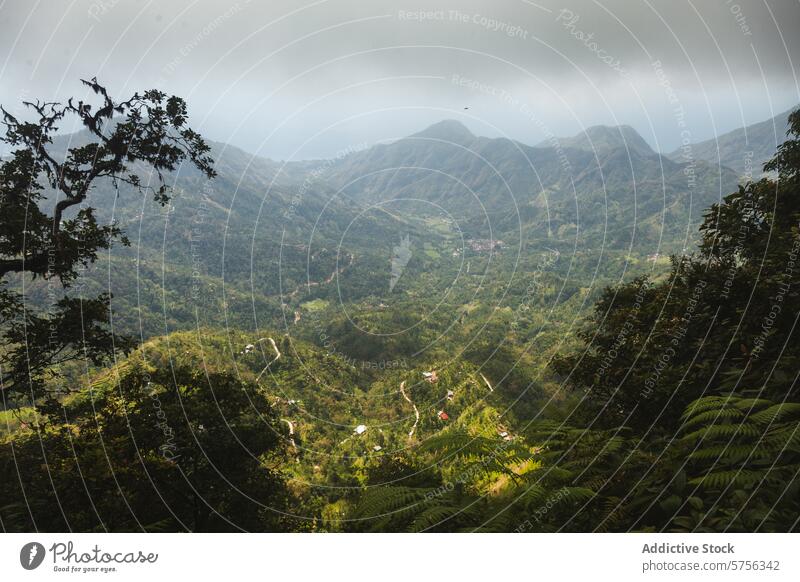 Majestätische Aussicht auf die indonesischen Berge und Wälder Indonesien Berge u. Gebirge Wald Grün Gelände Nebel Gipfel Natur Landschaft reisen Wildnis