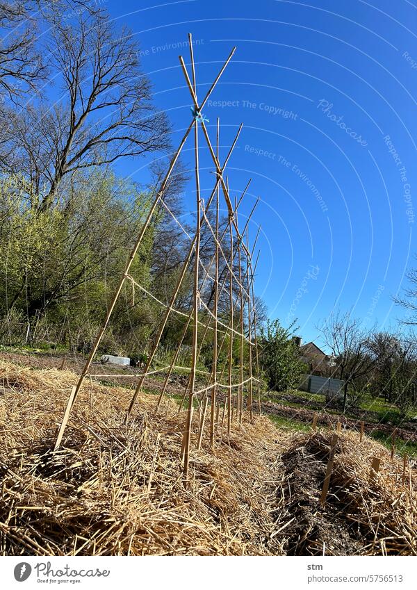 Gemüsegarten im Frühjahr Permakultur gemüsegarten Garten Gartenarbeit biologisch nachhaltig selbstversorger Bioprodukte Nutzpflanze Wachstum Gemüsebeet frisch