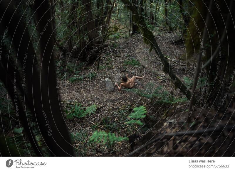 Die Dschungel von La Gomera sind ein perfektes Ziel für eine wunderschöne nackte Diva wie diese hübsche Frau, die sich dort draußen frei fühlt. Eine hübsche Frau in einer wilden Natur fühlt sich selbst wild. Farne, Wurzeln und Bäume umgeben sie. Und ein Stalker unter ihr.