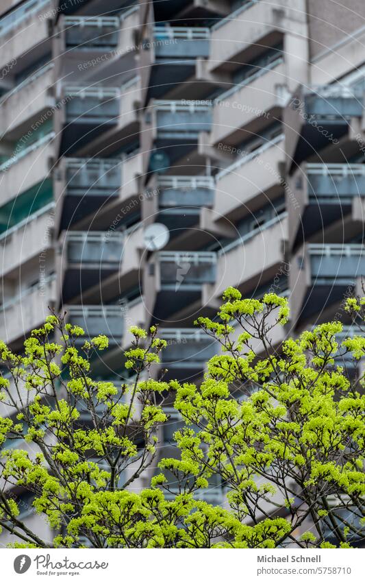 Tristesse im Frühling trist Hochhaus Hochhäuser Hochhausfassade Fassade Architektur urban Stadt Architekturfotografie Bauwerk Großstadt Frühlingserwachen