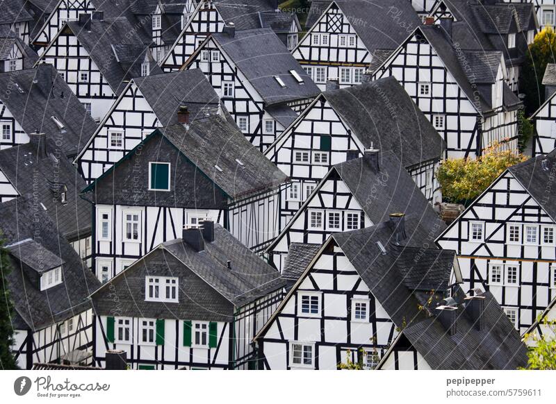 Freudenberg romantische Fachwerkstadt Ferien & Urlaub & Reisen Sehenswürdigkeit Fachwerkhaus Fachwerkhäuser Außenaufnahme Altstadt Architektur historisch