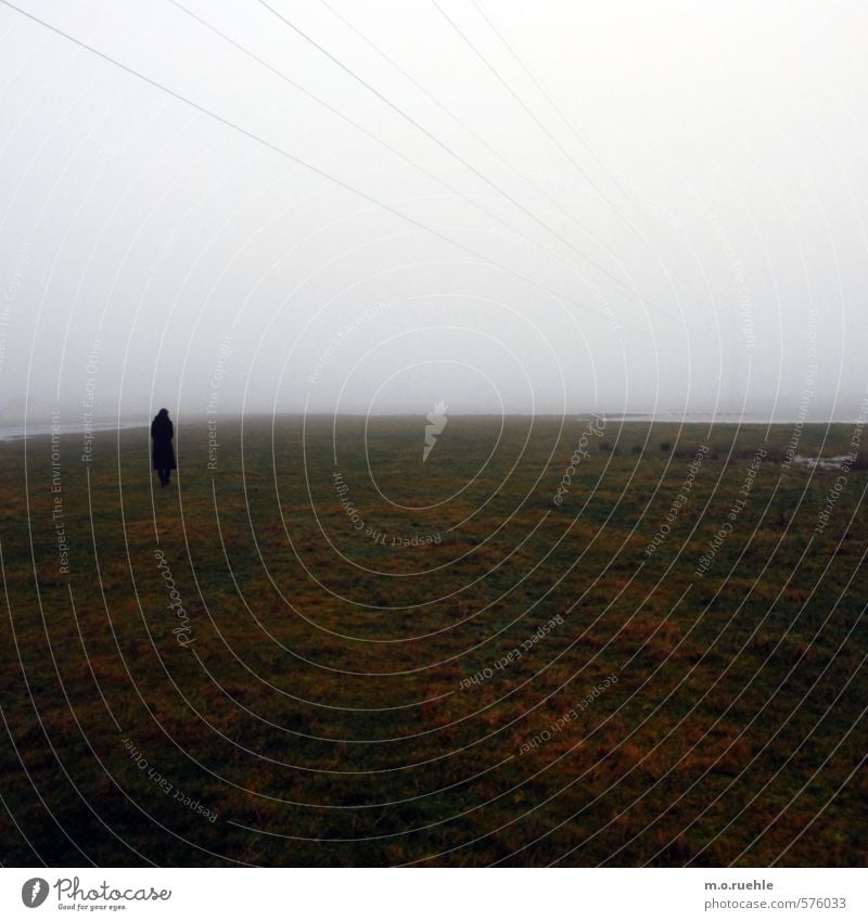 to nowhere Ausflug Ferne wandern Körper 1 Mensch Umwelt Natur Landschaft Luft Himmel Wolkenloser Himmel Herbst schlechtes Wetter Nebel Sträucher Moos Wiese Feld