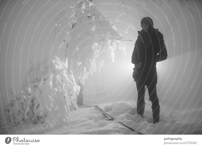 backlight Mensch feminin Junge Frau Jugendliche Erwachsene Leben Körper 1 18-30 Jahre Winter schlechtes Wetter Nebel Schnee Baum Wald Jacke Mütze selbstbewußt