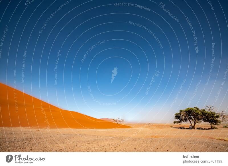 gegenüberstellung Himmel Sossusvlei Sesriem dune 45 Sand Wüste Afrika Namibia Ferne Fernweh Landschaft Ferien & Urlaub & Reisen Natur Einsamkeit Abenteuer Dünen