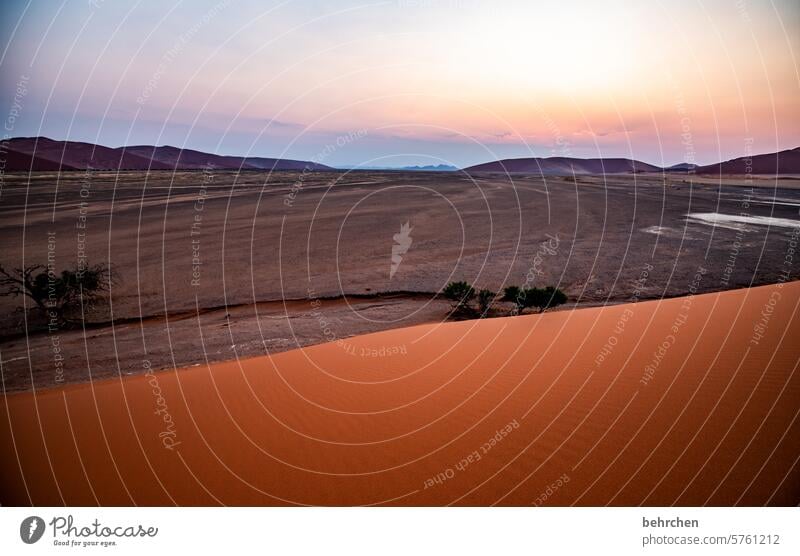 wenn alles einfach nur still ist Himmel Schatten Licht Sossusvlei Außenaufnahme Sesriem dune 45 Sand Wüste Afrika Namibia Ferne Fernweh Sehnsucht reisen