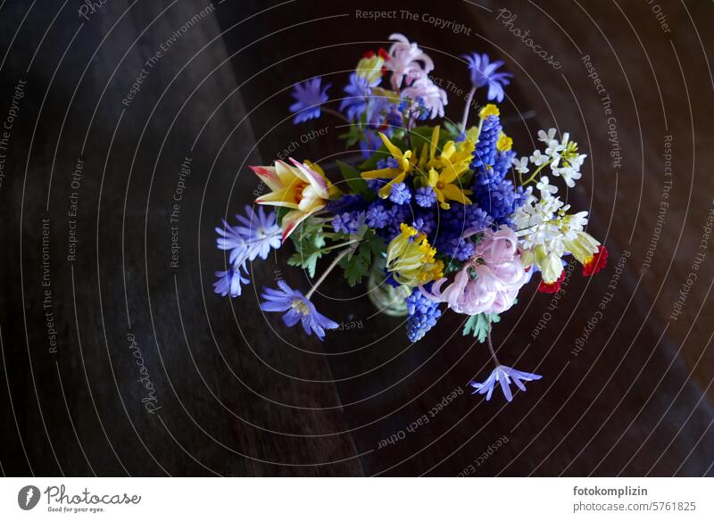 Frühlingsblumenstrauß Blumen Strauß Blumenstrauß Blumengruß Muttertag Blüte Geschenk Frühblüher Blühend Geburtstag Liebe schön romantisch