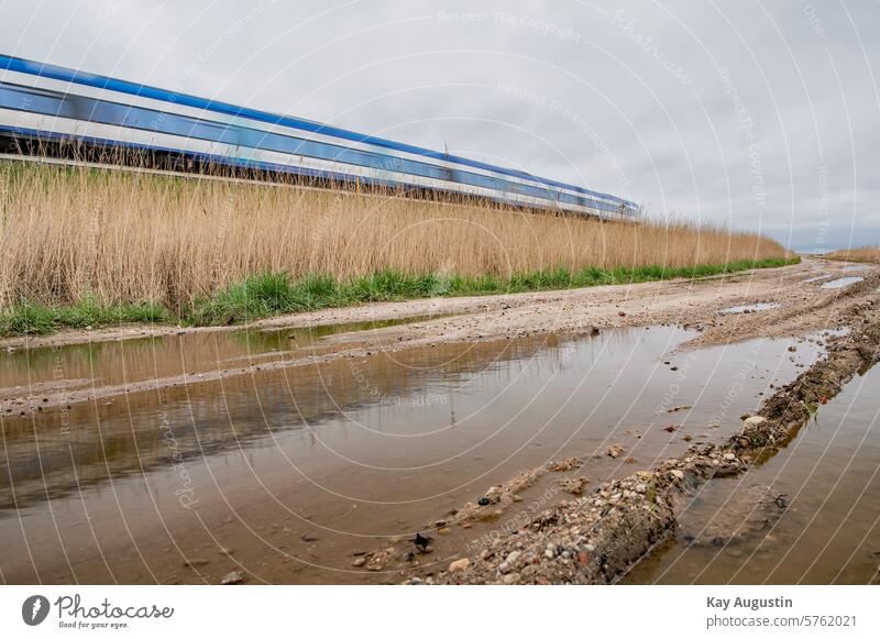 Zugverkehr Spiegel-Effekt Wasserspiegelung Pfütze Regenpfütze Pfützen Fotografie Bahn Pfützenfoto Bahnstrecke Wasseroberfläche Pfützen-Sensor Natur Reflextion