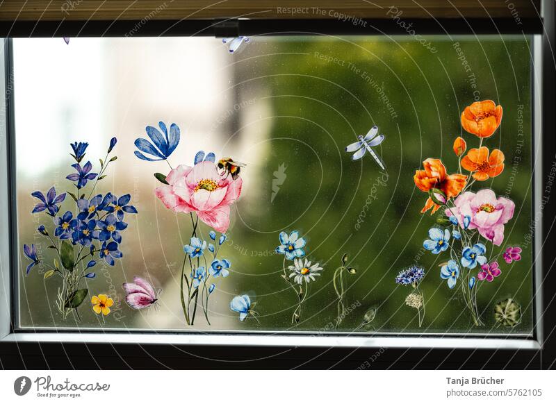 Bunte Blumendekoration am Fenster Fensterbild Fensterbilder Blick nach draußen Frühlingsblumen am Fenster Blumen am Fenster Fensterscheibe Blick aus dem Fenster