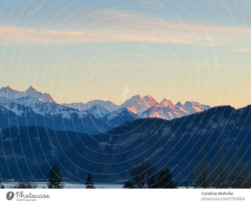 Blick von Meggen aus auf die Berner Alpen Berge Berge u. Gebirge Natur Landschaft Gipfel Felsen Außenaufnahme Wolken Umwelt Menschenleer Schneebedeckte Gipfel