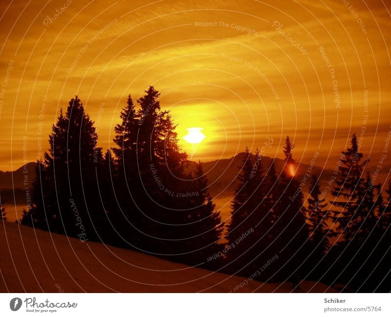 Sonnenuntergang Aussicht Tanne Berge u. Gebirge Schnee