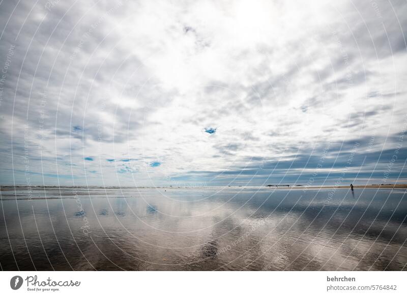 wenn sich alles berührt British Columbia Long Beach Vancouver Island Kanada Einsam Nordamerika besonders fantastisch Einsamkeit Ferne außergewöhnlich Wasser