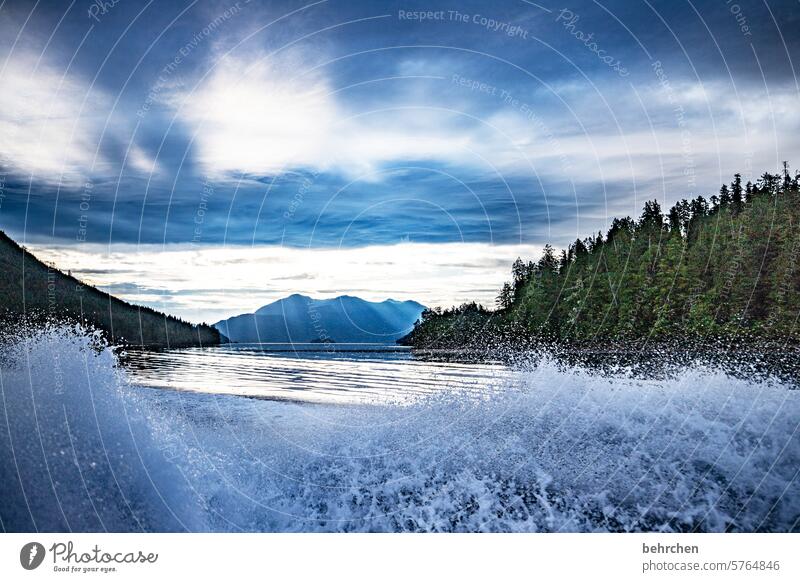 spritzig Bootsfahrt Wolken weite Fernweh Ferne Vancouver Island fantastisch Farbfoto Nordamerika Kanada Freiheit Abenteuer Wasser British Columbia Landschaft