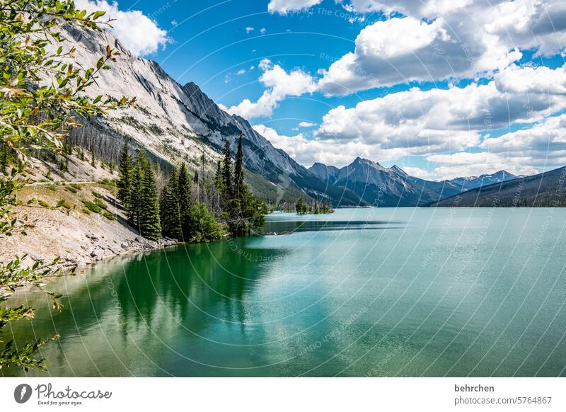 in der ruhe liegt die kraft friedlich Idylle stille Ruhe Alberta Wolken Jasper National Park See Bäume Nordamerika Reflexion & Spiegelung Bergsee