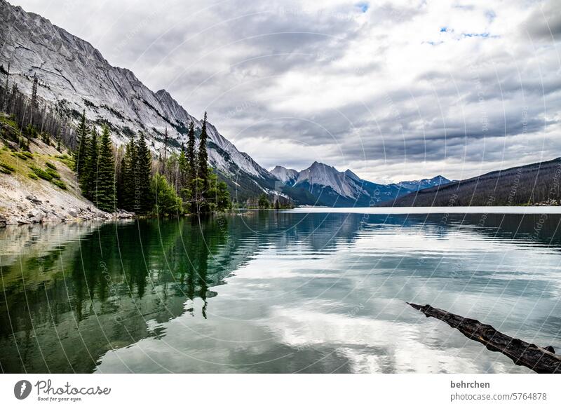 spiegelwelt Wolken Alberta Jasper National Park See Bäume Landschaft Berge u. Gebirge Kanada Nordamerika Rocky Mountains Natur fantastisch