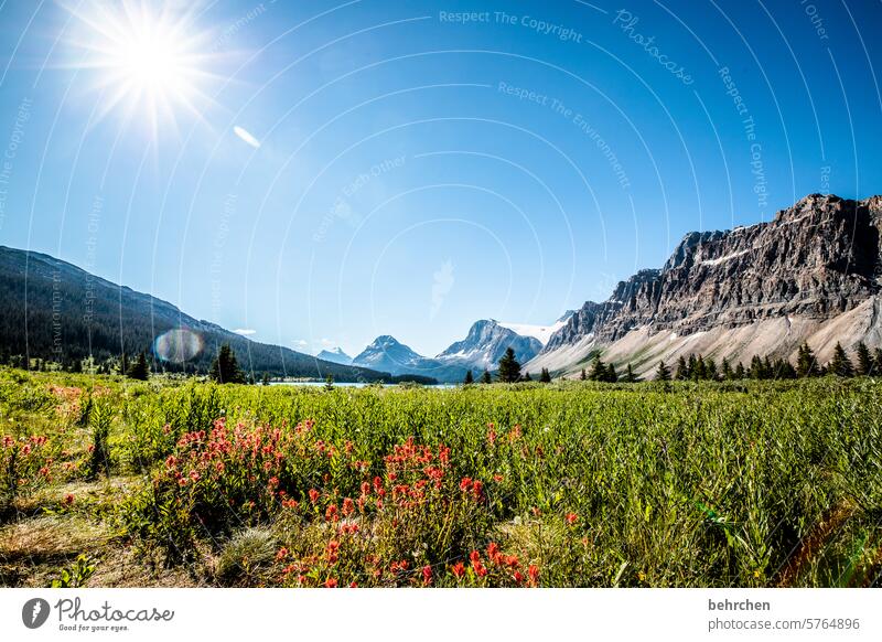 naturschönheit Alberta Abenteuer Natur Außenaufnahme Landschaft Freiheit Rocky Mountains Kanada Berge u. Gebirge Nordamerika Farbfoto besonders