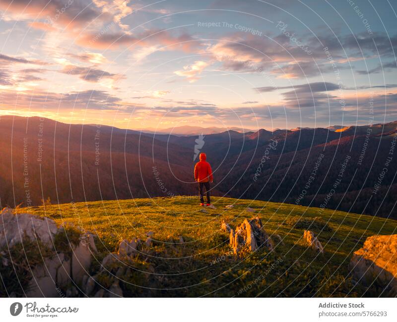 Eine einsame Gestalt steht bei Sonnenuntergang auf einem üppig bewachsenen Hügel und überblickt die weite, bewaldete Landschaft der Selva de Irati, inmitten der Schönheit der Wildnis Navarras