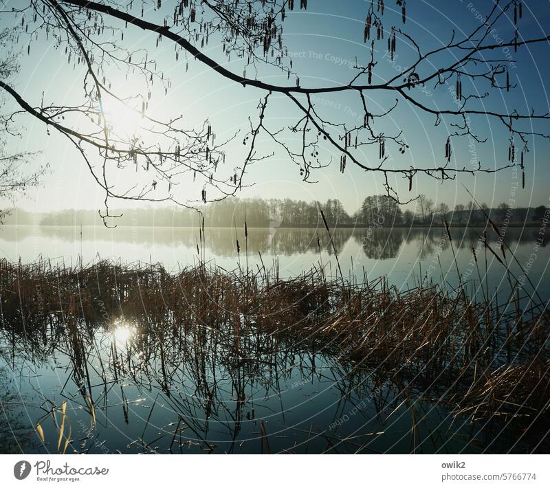 Frühstücksfernsehen Wasser Sonnenlicht Reflexion & Spiegelung Licht Tag Menschenleer Außenaufnahme Farbfoto Gedeckte Farben glänzend Idylle Ferne Fischteich