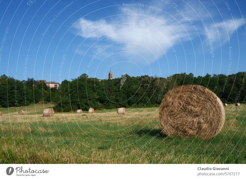 Ponte Buriano, altes Dorf in der Toskana Arezzo Europa Italien Ackerbau Ballen Farbe Land Tag Feld Hügel historisch Haus Landschaft Natur Fotografie Pflanze