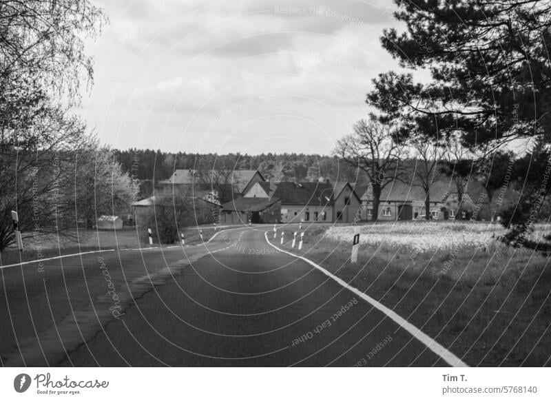 Straße ins Dorf s/w Frühling Brandenburg Landstraße Menschenleer Außenaufnahme Tag Schwarzweißfoto ruhig Einsamkeit Allee b&w b/w