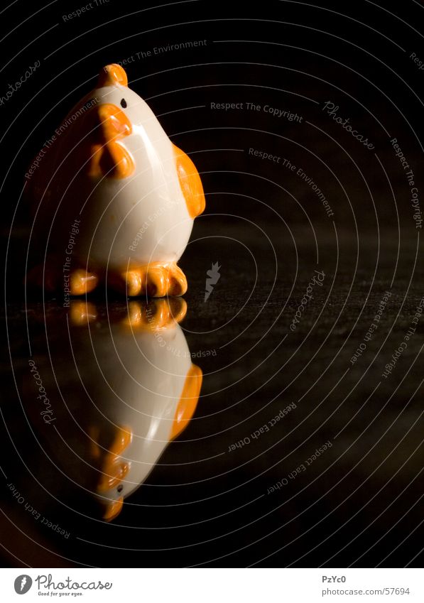 Chicken Reflexion & Spiegelung Haushuhn Hahn Salzstreuer schwarz Verlauf porzelan orange Schatten Übergang refelction reflektion mirror shadow