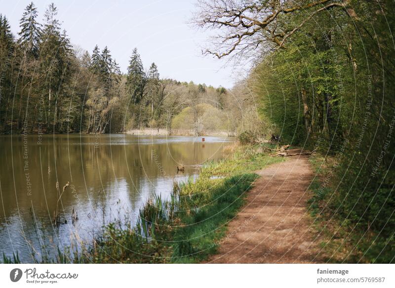 Waldspaziergang im Frühling Gehen Sie spazieren sehen Waldsee Schatten licht tannen Reflexion Spiegelung schattig sonnig Sonne April Sonntagsausflug Ausflug