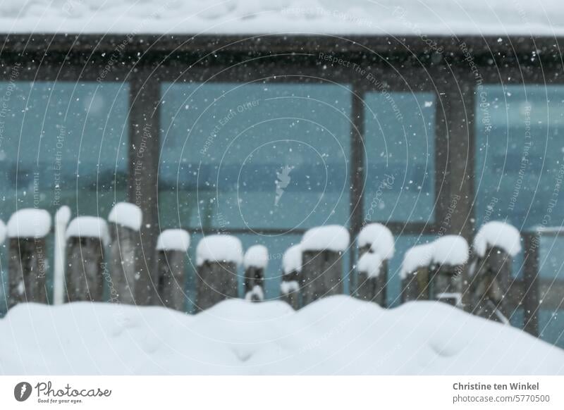 lückenhaft| verwitterte Holzbohlen stecken im Schnee Winter Schneetreiben Gartenzaun verschneit zugeschneit Schneeflocken Fenster Fensterfront kalt frieren