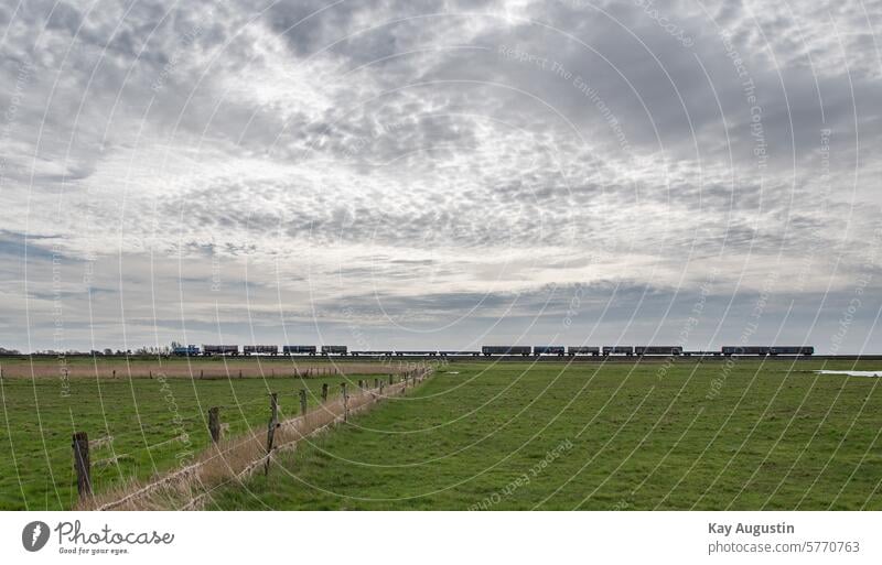 Güterzug Versorgungszug Eisenbahnverkehr Transport Verkehr Güterverkehr Sylt Natur Bahnstrecke Feuchtwiesen Schilfgras Landschaften Landwirtschaft Felder