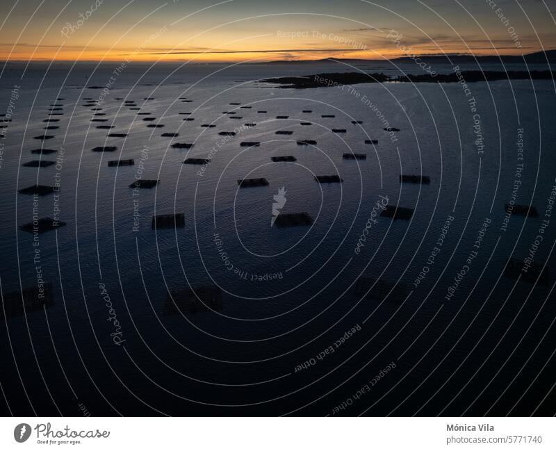 Luftaufnahme eines Polygons von Muschelzuchtbecken in der Ría de Arousa in der Abenddämmerung. Miesmuschel Aquakultur Galicia Arousa-Ästuar Sonnenuntergang