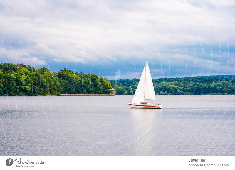 Segelboot auf dem Möhnesee segeln Boot Segelschiff Ferien & Urlaub & Reisen Abenteuer Segeltörn Freiheit Körbecke See Seeufer bewölkt Wetter windig Wind