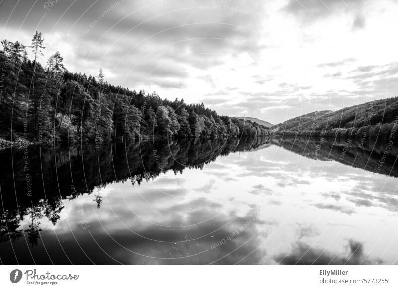 Spiegelung an der Oestertalsperre bei Plettenberg Talsperre Natur Landschaft See Wasser Himmel Stausee Wald Wolken Reflexion & Spiegelung Seeufer schwarz