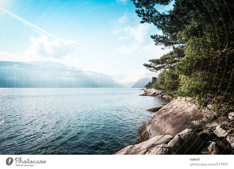 Tag am Meer Ferien & Urlaub & Reisen Ferne Freiheit Sommer Sonne Wellen Berge u. Gebirge Natur Landschaft Tier Wasser Himmel Wolken Horizont Sonnenlicht