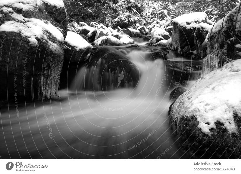 Winterlicher Gebirgsfluss mit verschneiten Felsbrocken Landschaft Fluss Berge u. Gebirge Schnee Eiszapfen schwarz weiß Foto Gelassenheit fließen Wasser kalt