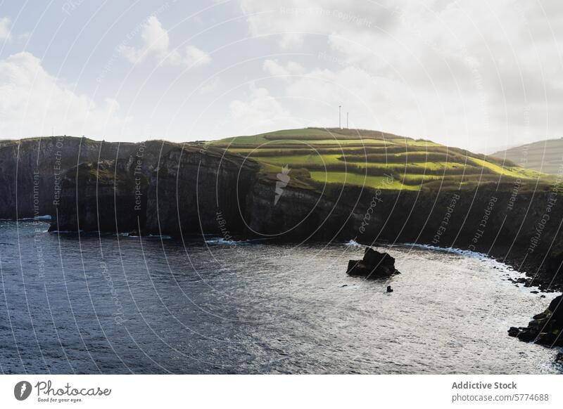 Die malerischen Klippen der Teeplantage Gorreana am Meer in São Miguel gorreana Schonung Küste Seeküste Portugal sonnig Himmel Terrasse Ackerbau Landschaft