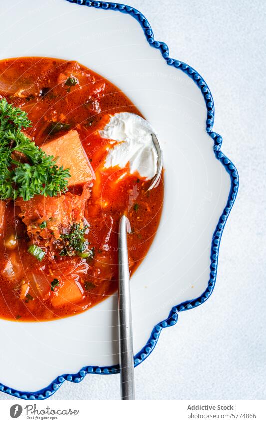 Traditioneller ukrainischer Borschtsch, serviert mit saurer Sahne Ukrainer borscht Rote Beete Suppe Fleisch Sauerrahm Petersilie Garnierung traditionell Speise