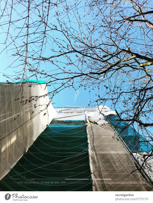 Hoch-Tief Baustelle Himmel hoch tief Baum Frühling Plane Schutz baustellensicherung Sicherheit Abdeckung Baugerüst Gebäude Renovieren Fassade Sanieren Gerüst