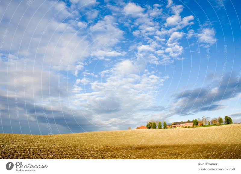 Norwegische Landschaft Wolken Bauernhof Feld Licht Himmel